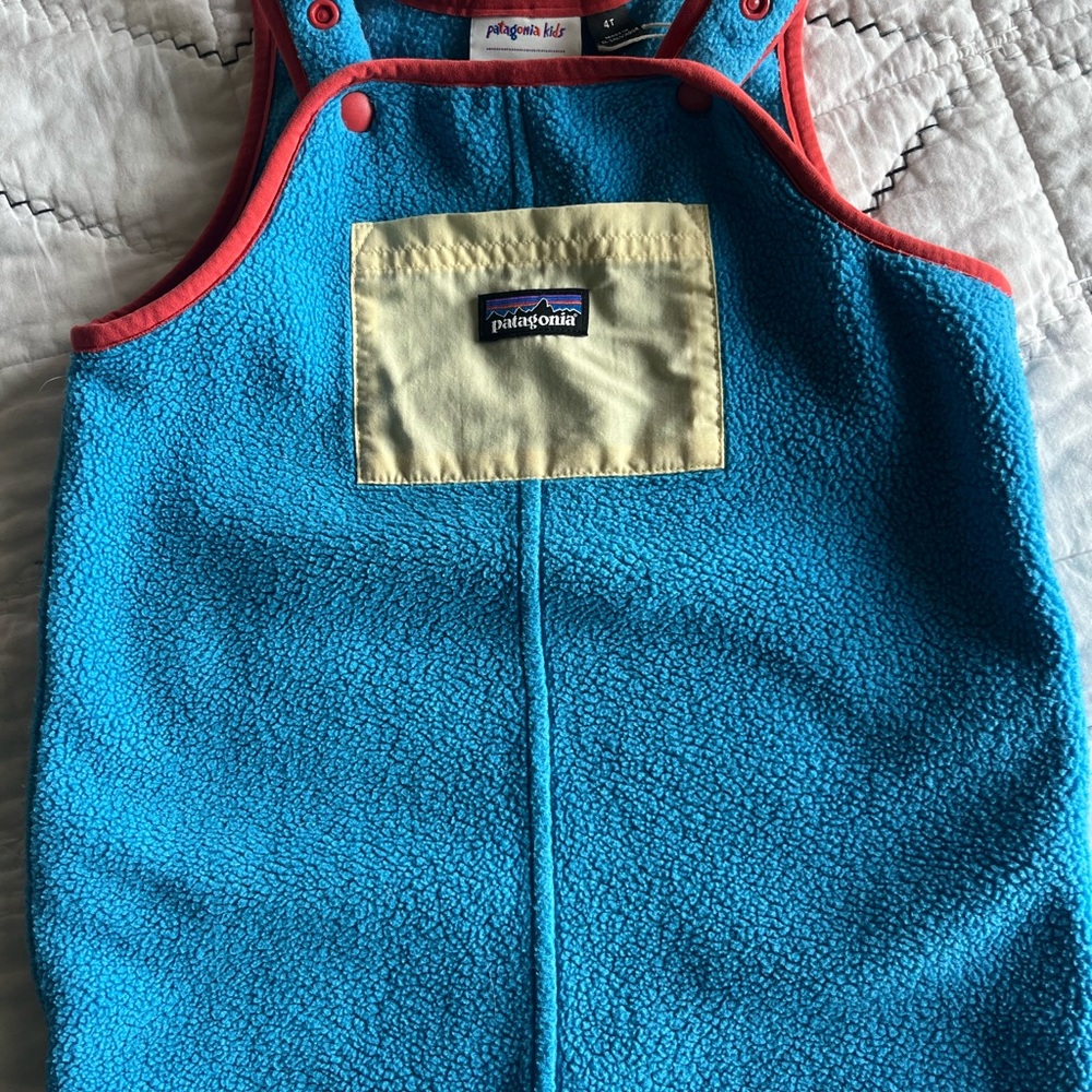 Patagonia Synchilla Overalls